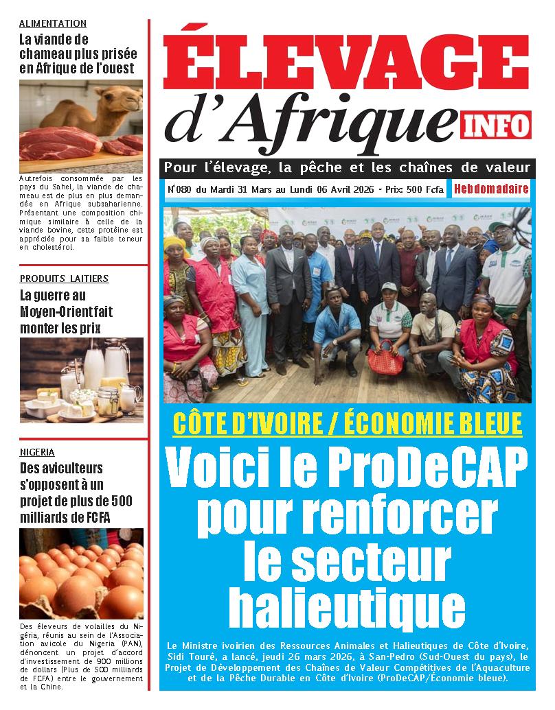 Élevage d'Afrique